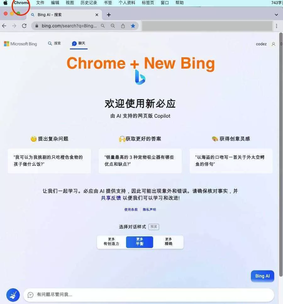 微软New Bing完美聊天机器人源码，支持ChatGPT提示词 国内可用，基本兼容微软 Bing AI 所有功能 - FiveM 插件资源站