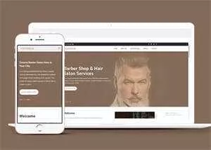 明星御用发型师网站模板下载 - FiveM 插件资源站
