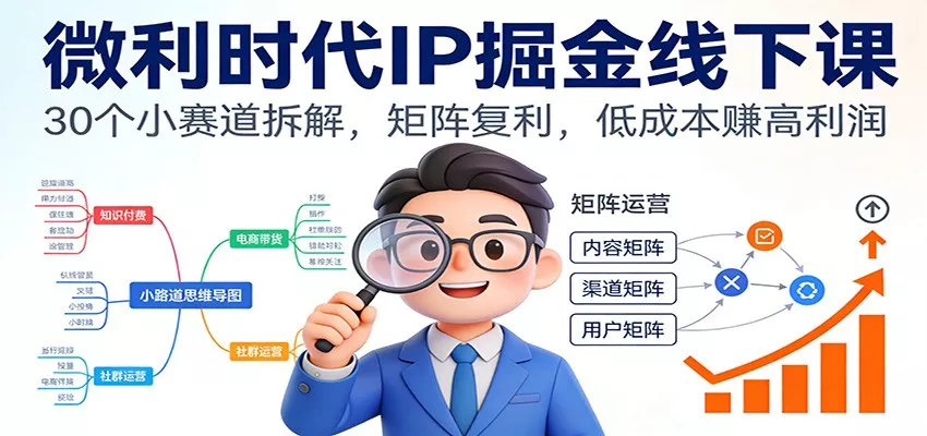 微利时代IP掘金线下课：30个小赛道拆解，矩阵复利，低成本赚高利润 - FiveM 插件资源站
