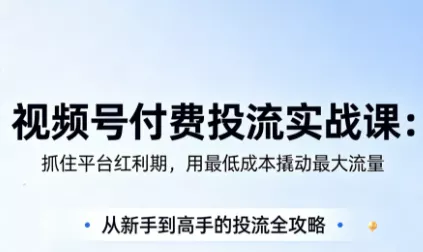 渔财老师·视频号付费投流实战课(更新5月) - FiveM 插件资源站