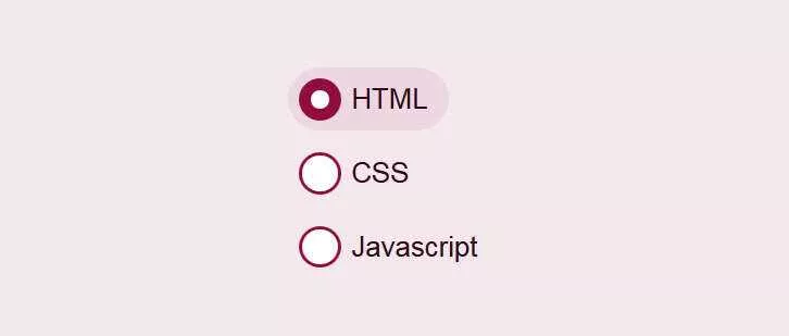 css3美化单选按钮点击选中动画特效 - FiveM 插件资源站