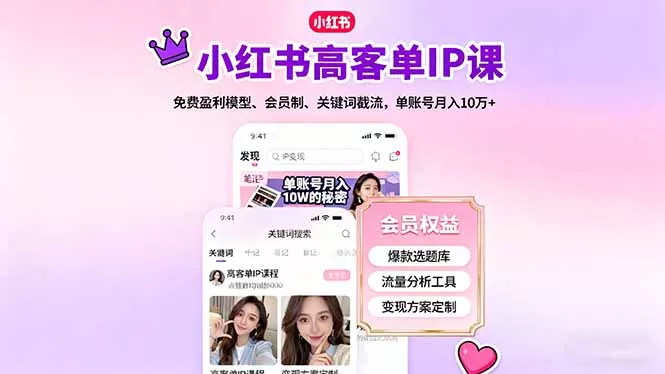 小红书高客单IP课，免费盈利模型、会员制、关键词截流，单账号月入10万+ - FiveM 插件资源站