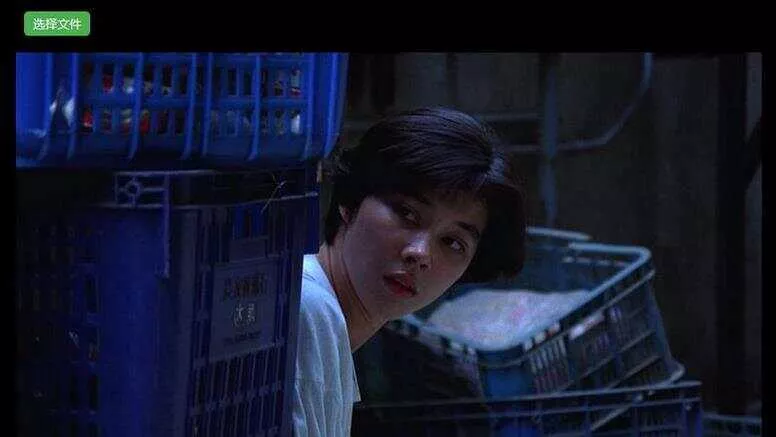 H5视频播放器源码_支持本地选择视频播放，带截图功能 - FiveM 插件资源站