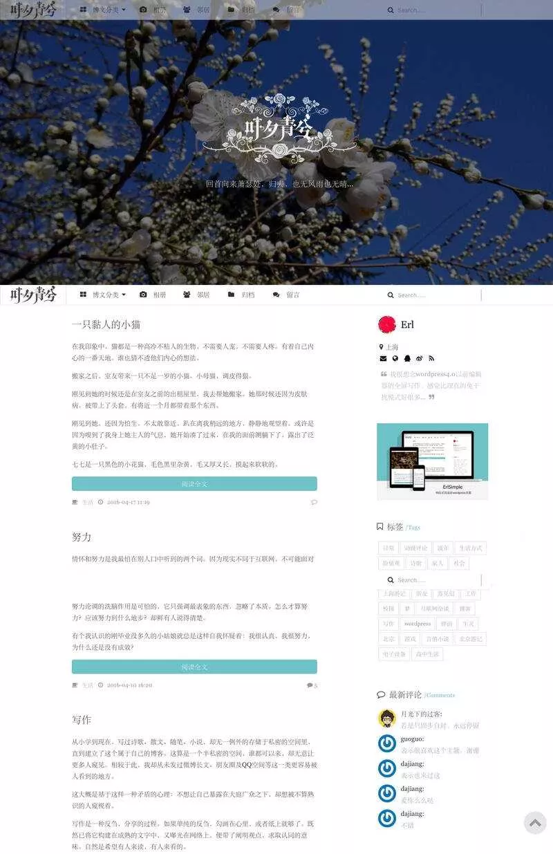 wordpress极简优秀的博客主题–ErlSimpleV1.5主题 - FiveM 插件资源站