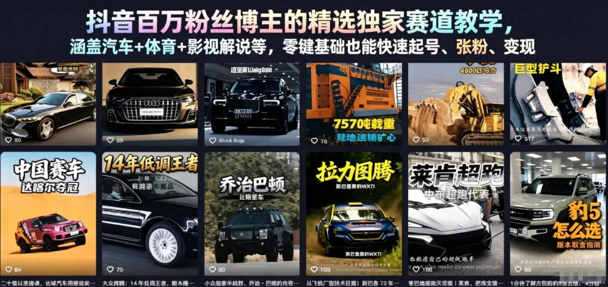 抖音百万粉丝博主的精选独家赛道教学，涵盖汽车+体育+影视解说等，零基础也能快速起号、涨粉、变现(更新0701) - FiveM 插件资源站