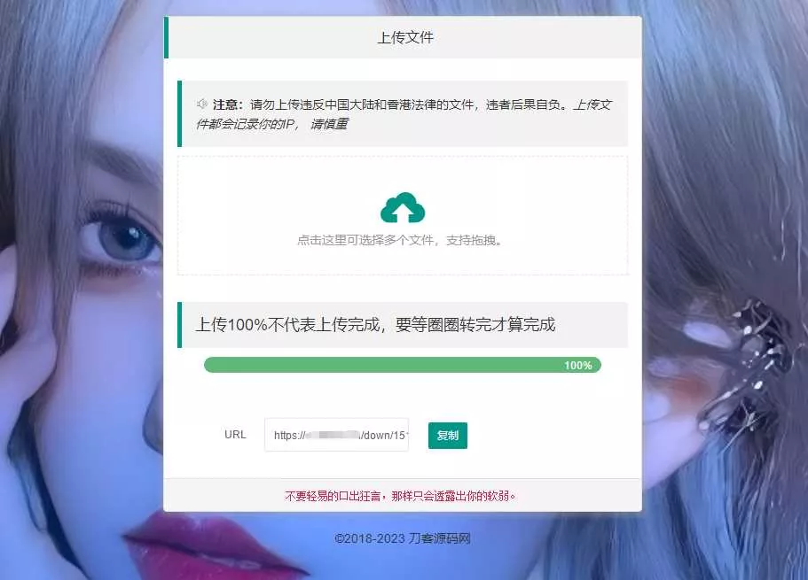 2023最新临时文件上传存储分享系统 临时文件网盘系统源码 - FiveM 插件资源站