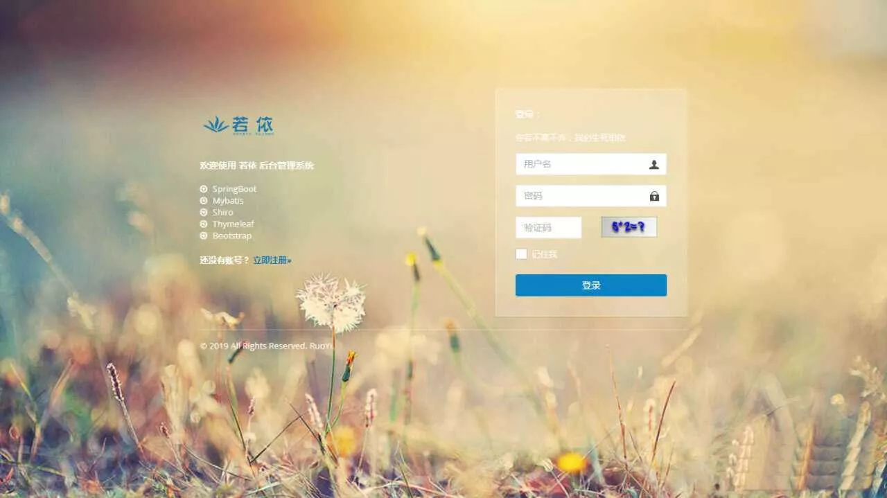 图片[4] - RuoYi若依管理系统最新版 基于SpringBoot的权限管理系统 - FiveM 插件资源站